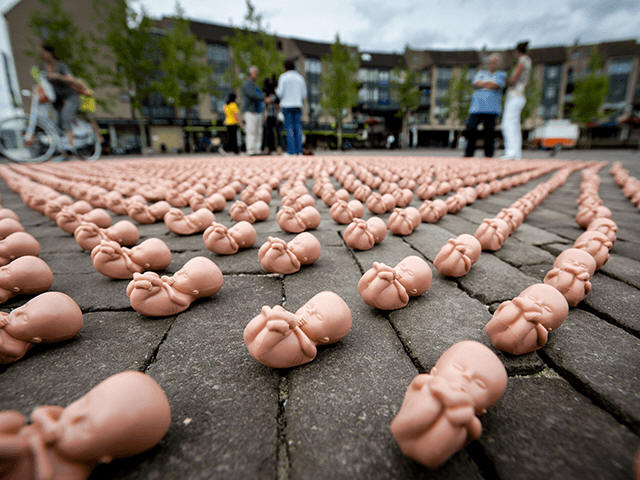 Hundreds of little plastic foetuses are displayed on a square in Houten, August 12, 2013. The Dutch Christian organisation Schreeuw om Leven (Scream for Life) has set up the action to protest against the establishment of a Centre for Birth Control, Abortion and Sexuality Rotterdam (CASA) in Houten. AFP PHOTO �K