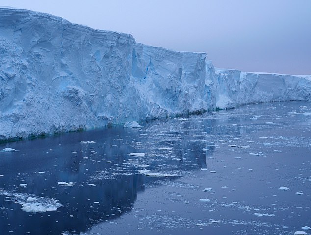 Summer Arctic sea ice is shrinking by 12.2% every decade (Getty)