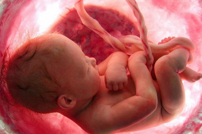 https://www.lifenews.com/wp-content/uploads/2019/08/ultrasound4d87.png